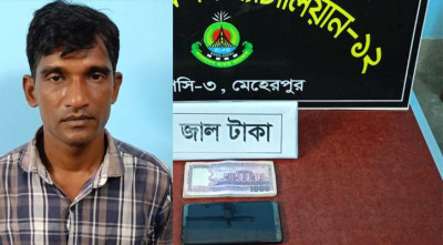 মেহেরপুরে জালনোটসহ একজন আটক